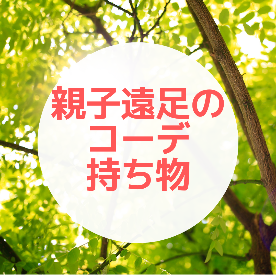 都会のママの親子遠足コーデ 持ち物 ママ交流 ボン キュッ ボイン